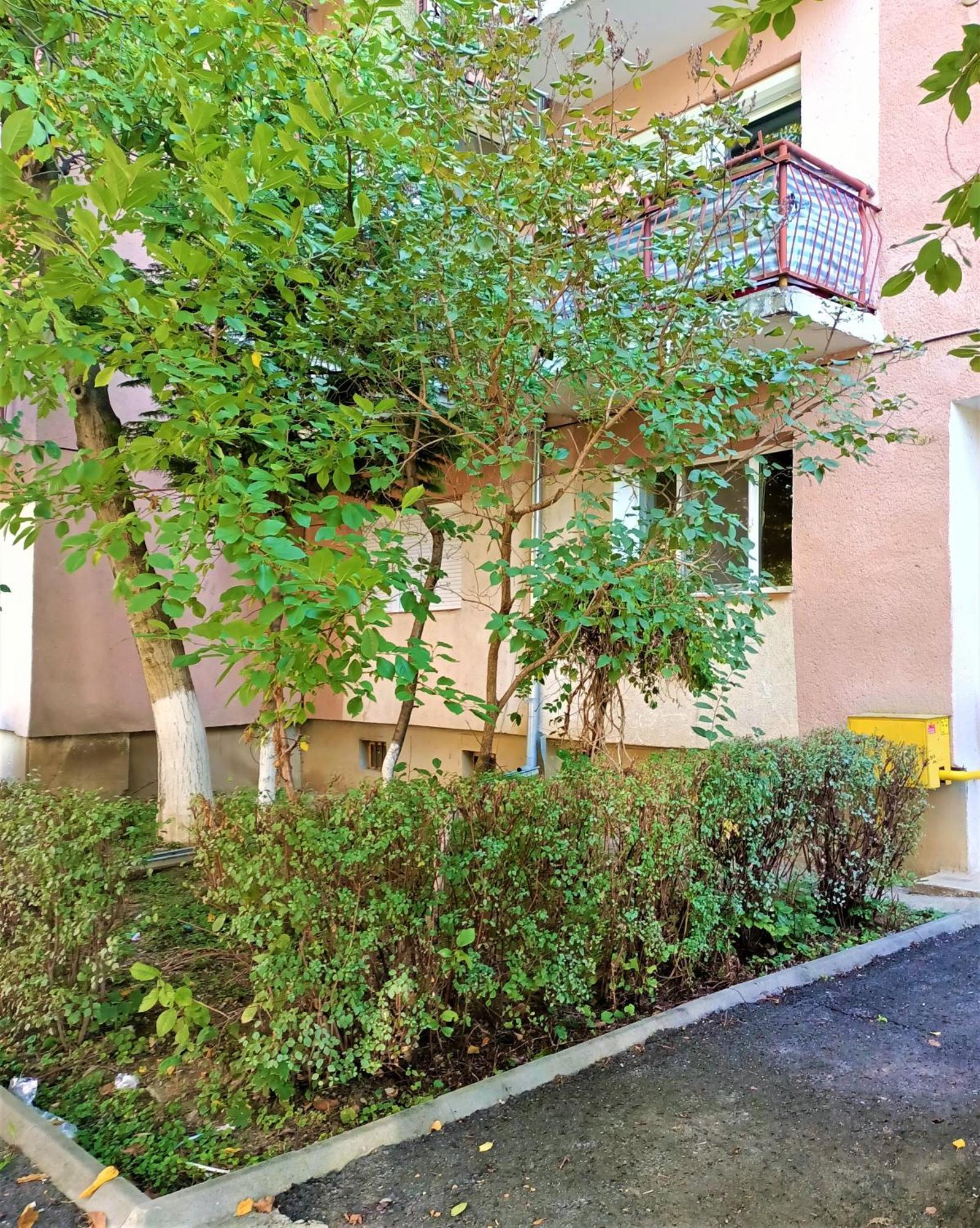 Caserom Studio Satu Mare Exterior photo